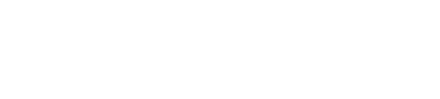 Superior Chiropractic and Wellness white header logo.