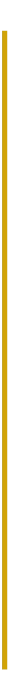 Vertical gold line graphic.